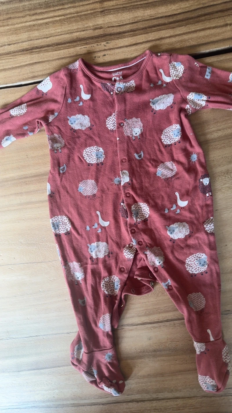 Foto 12 van dit pakket